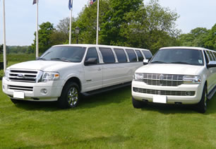Limousines on display