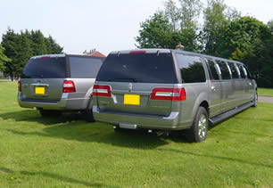 Silver limo on display